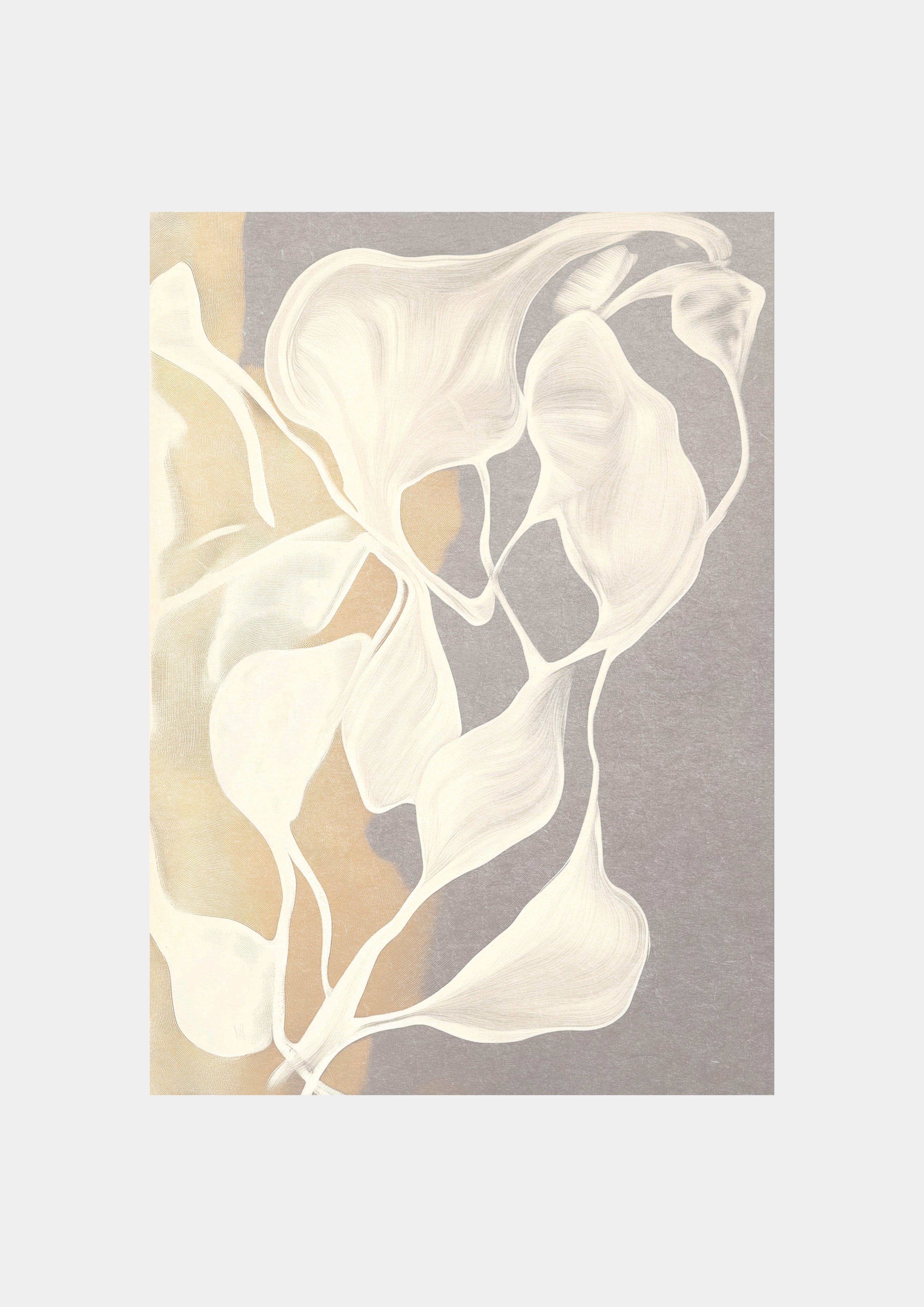 Whispers in White