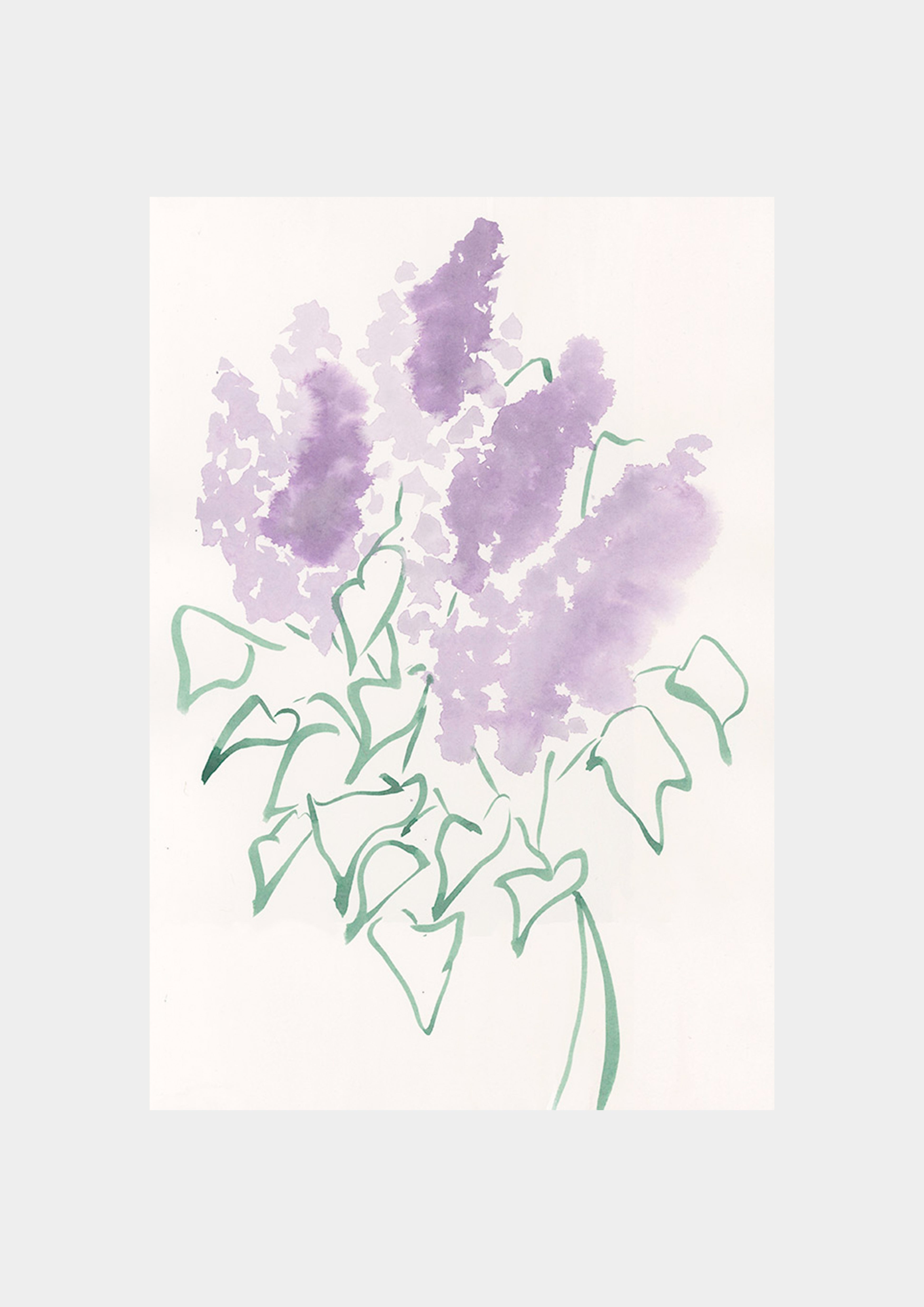 Lilacs