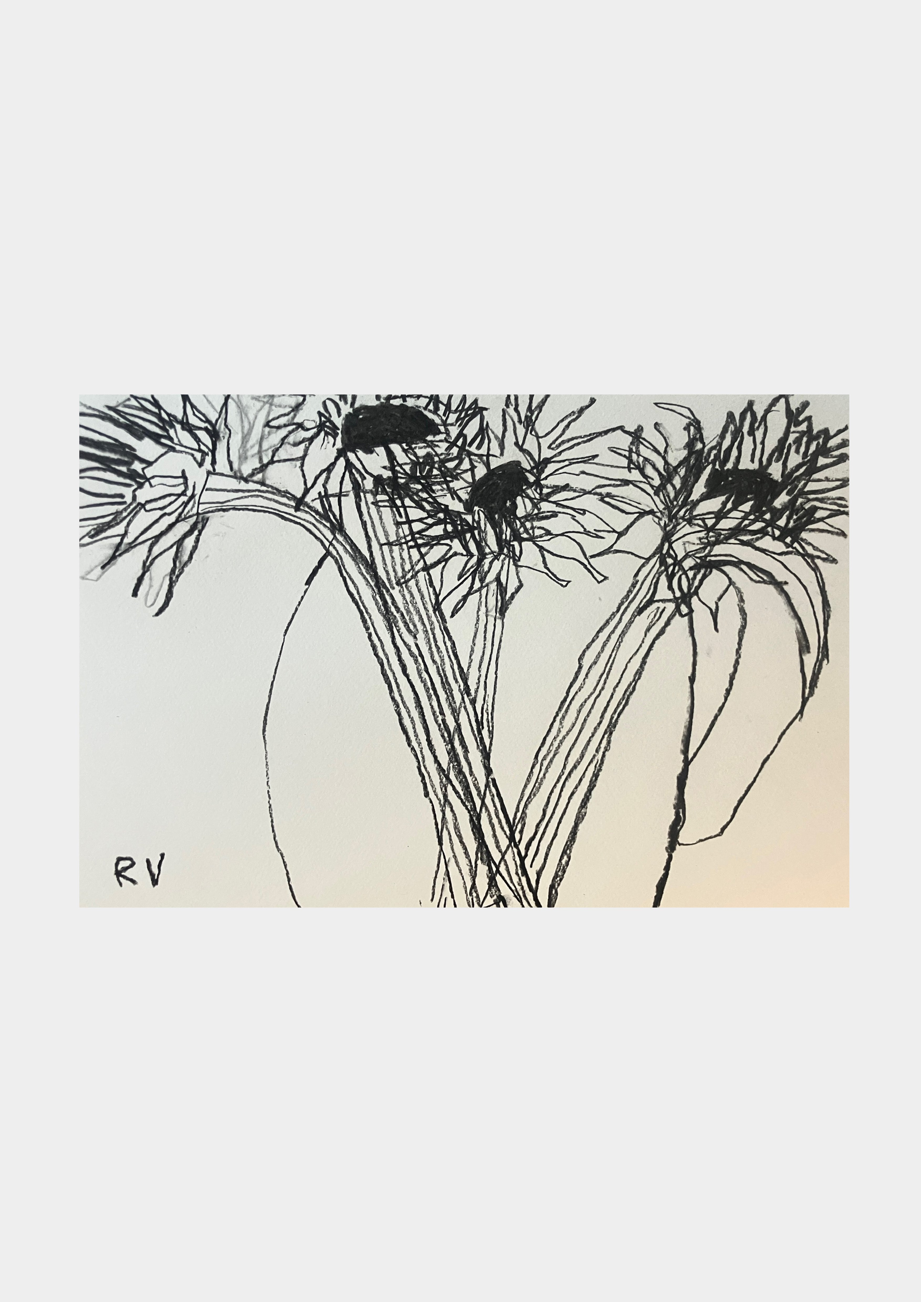 Sunflowers No.3